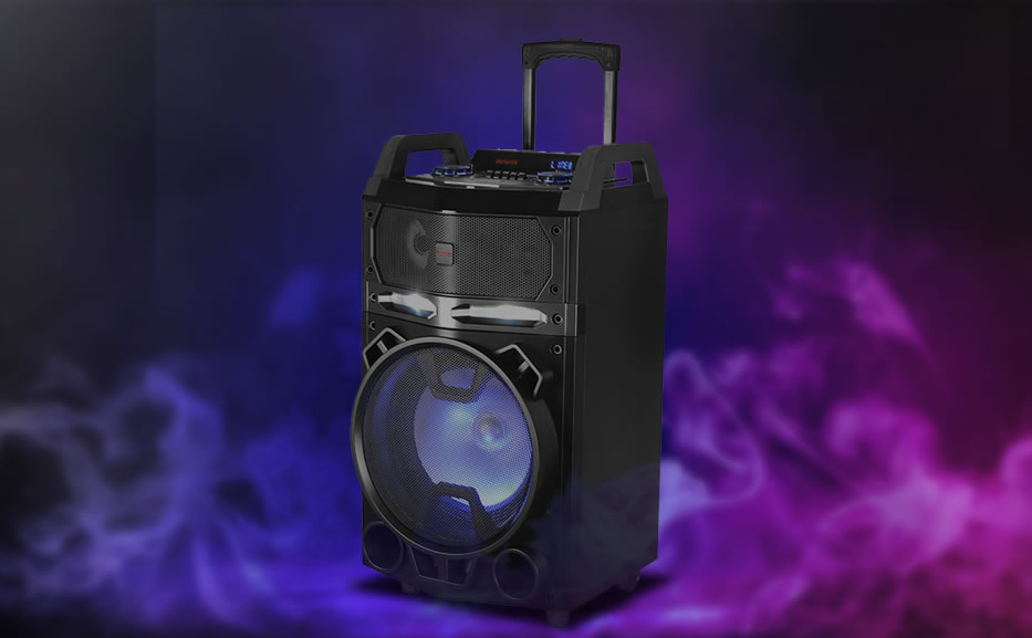 Alimentato anche con batterie ricaricabili, con ampia scelta di sorgenti audio, compreso 2 microfoni wireless per divertenti performance Karaoke e un ingresso per chitarra!