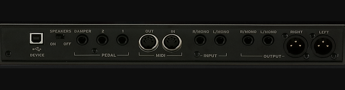 La connettività avanzata di SV2-88: le uscite audio bilanciate con connettori XLR, sbilanciate on TS; Ingressi per una sorgente esterna, MIDI DIN, USB, pedali, On/Off