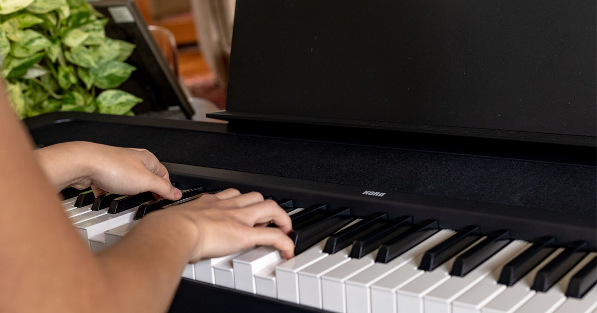 B2SP-BKè fornito di un?ampia dotazione Software, in grado di far evolvere rapidamente le conoscenze e le abilità personali in campo musicale.