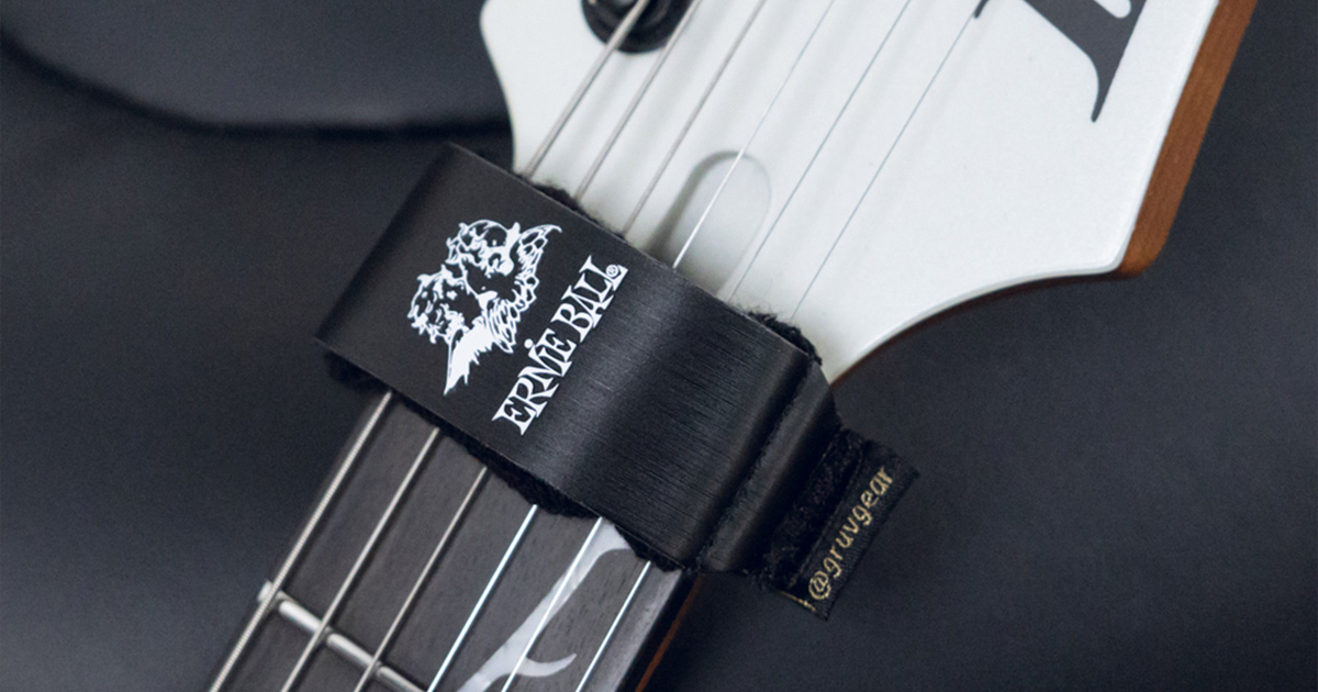 Scopri i dettagli del fretwrap Tim Henson Signature by Gruv Gear di Ernie Ball