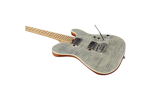 Eko Guitars - Tero 801 Musa Grey Flamed
