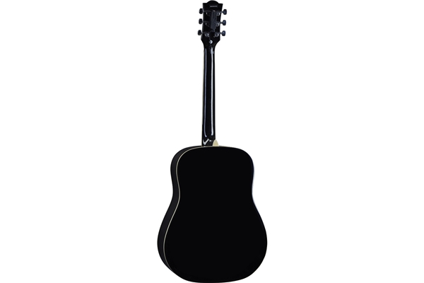 Eko Guitars - Ranger Blk Visual Note