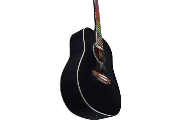 Eko Guitars - Ranger Blk Visual Note