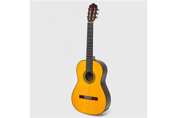 Esteve - Torres Chitarra Classica