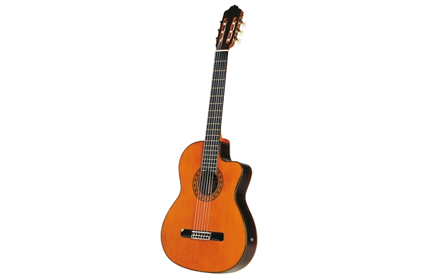 Esteve Elec Chitarra Classica Elettrificata