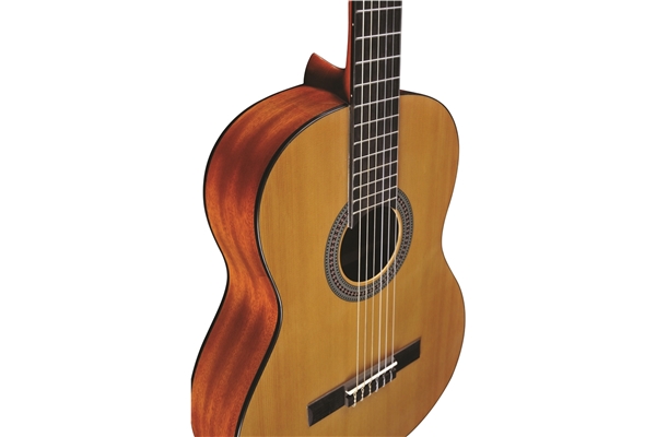 Eko Guitars - Vibra 100 Natural