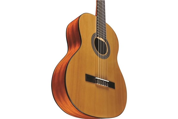 Eko Guitars - Vibra 100 Natural