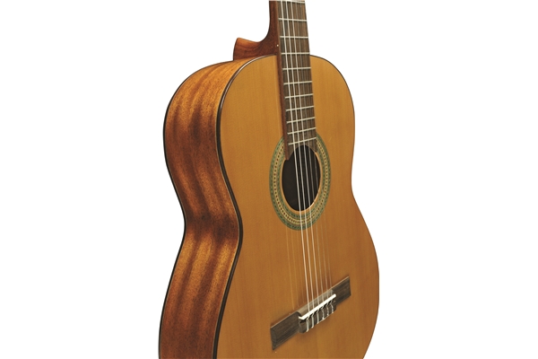 Eko Guitars - Vibra 200 Natural