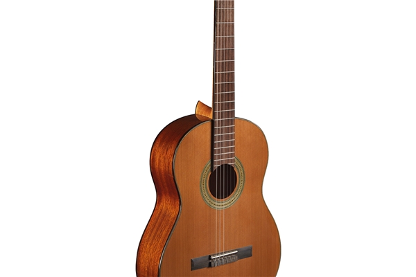 Eko Guitars - Vibra 300 Natural