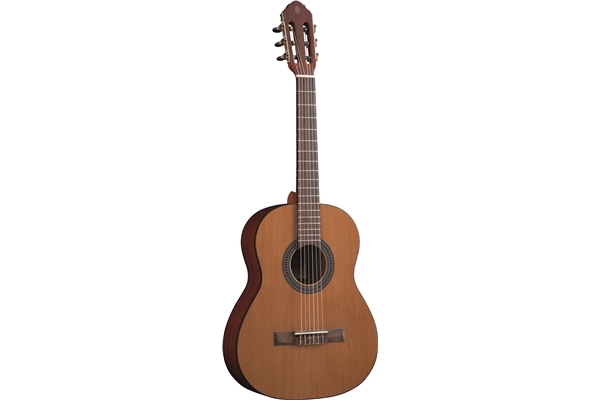 Eko Guitars - Vibra 75 Natural