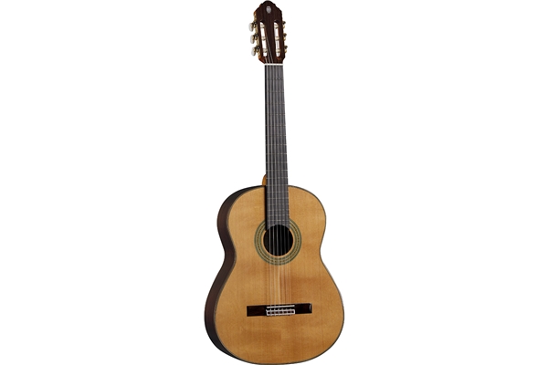 Eko Guitars Vibra 500 Mario Gangi