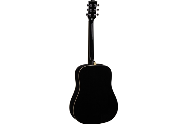 Eko Guitars - Ranger 6 Black