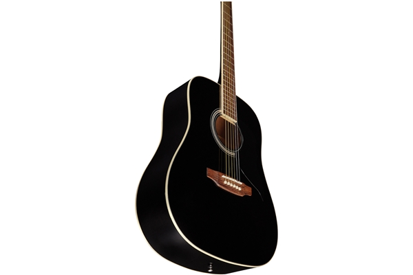 Eko Guitars Ranger 6 Black