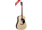 Martin & Co. DC-X2E-03 Spruce/Rosewood X Series
