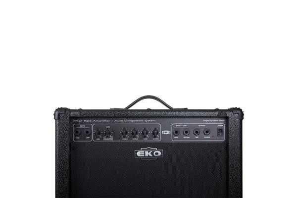 Eko Guitars - B 50