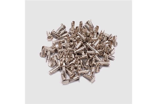 Marshall - PACK00032 - x100 Silver Rivets