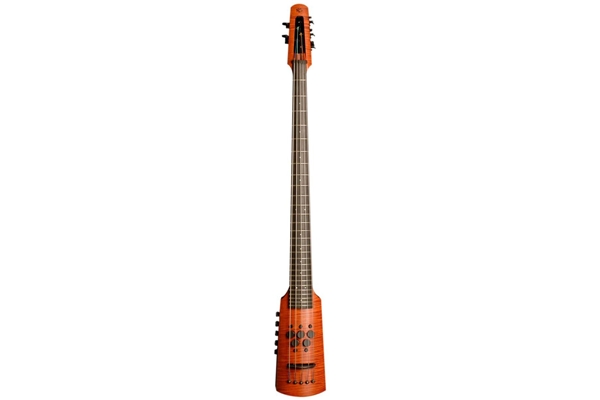 NS Design CR Omni Bass 5 Fretted Amber Stain