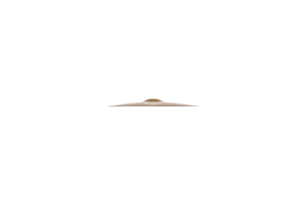 Zildjian - K0813-14