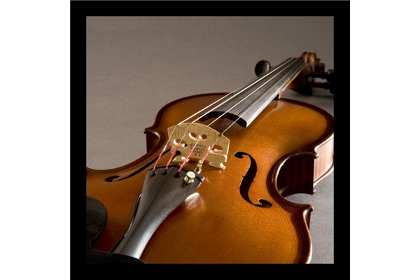 Fishman V-300 Pickup Concerto Violino (PRO-V30-0VI)