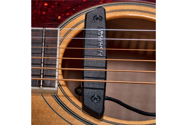 Fishman - Rare Earth Soundhole Humbucking Pickup (PRO-REP-102)
