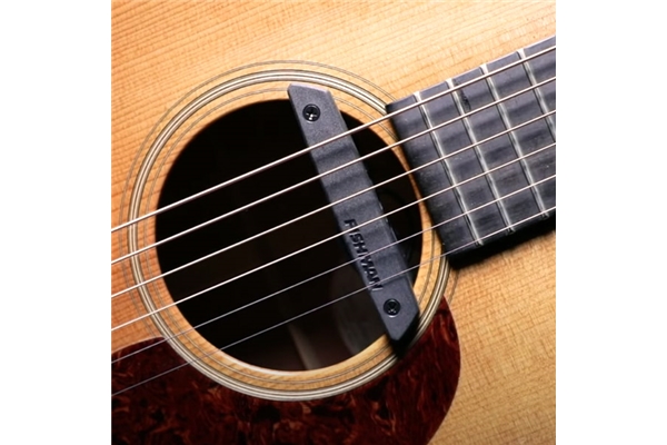 Fishman - Rare Earth Soundhole Humbucking Pickup (PRO-REP-102)