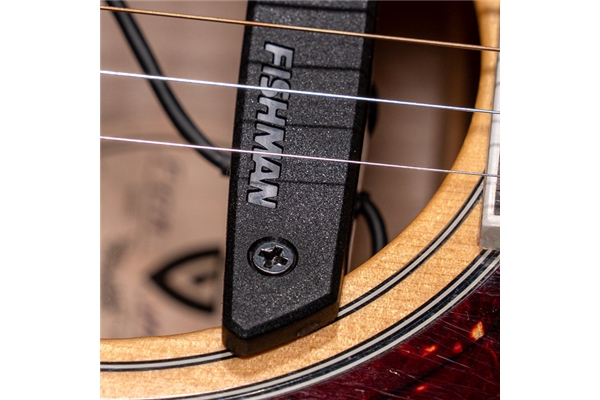 Fishman - Rare Earth Soundhole Humbucking Pickup (PRO-REP-102)