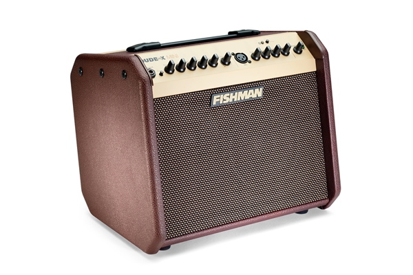 Fishman - Loudbox Mini Bluetooth 60W (PRO-LBT-EU5)