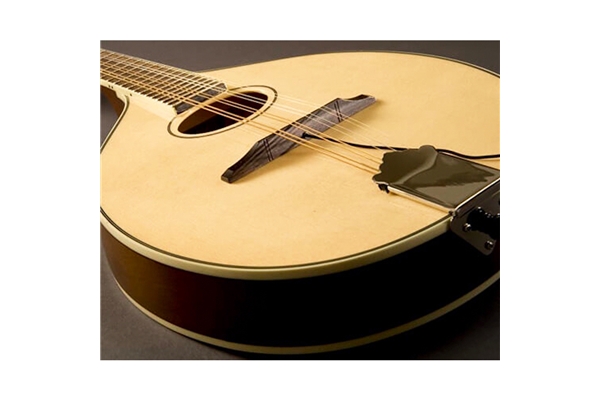Fishman - Nashville Flat-Top M-400 Mandolin Pickup (PRO-M40-0MA)