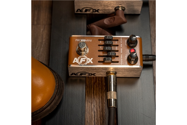 Fishman - AFX Pro EQ Mini PRO-AFX-EQ2