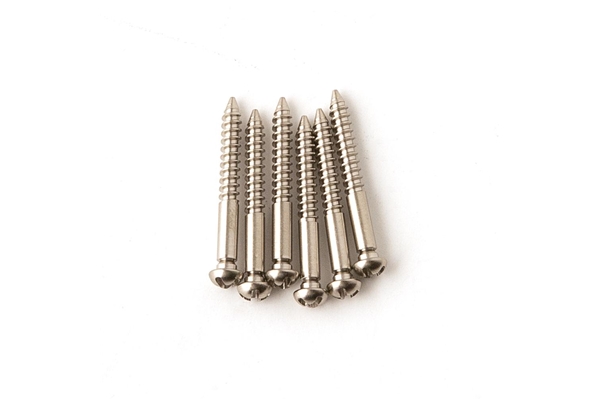 PRS - Tremolo Bridge Screws (set of 6), Nickel (101694::