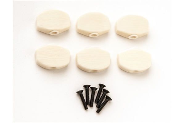 PRS - Faux-Bone Tuner Buttons Phase III (101676::B:003)