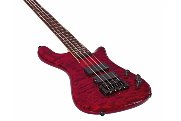 Spector - Bantam 4 Black Cherry