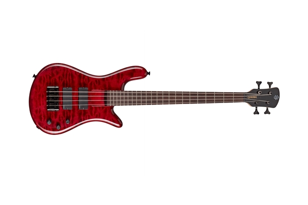 Spector - Bantam 4 Black Cherry