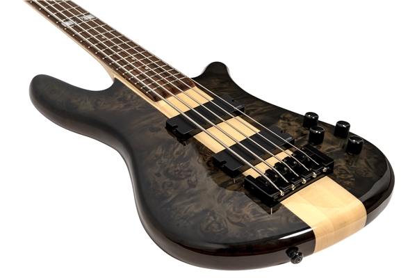 Spector - NS-2000/5 Dan Briggs Black/Walnut Stain