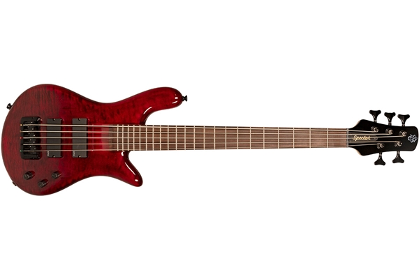 Spector - Bantam 5 Black Cherry Gloss