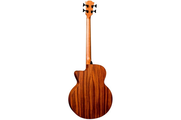 Lag - HyVibe 10 HV10BCE Basso Acustico Smart Jumbo Cutaway