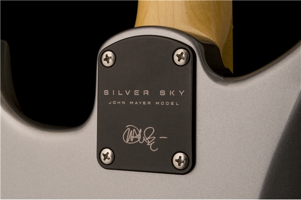 PRS - Silver Sky Tungsten Tastiera Palissandro