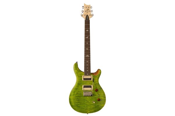 PRS SE custom 24-08 ErizaVerde