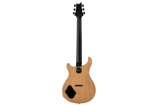 PRS - DW CE 24 Hardtail Limited Edition Black Top