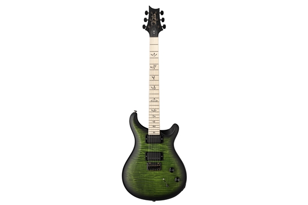 PRS - DW CE 24 Hardtail Limited Edition Jade Smokeburst