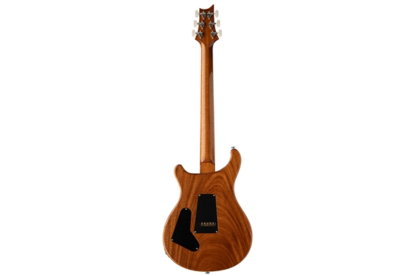 PRS - Custom 24 Carroll Blue 2024