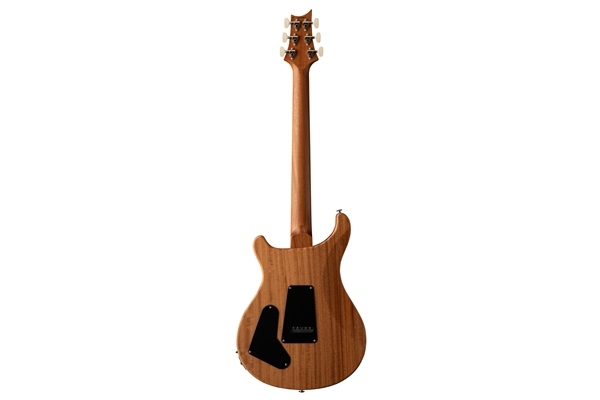 PRS - S2 Special Semi-Hollow Reclaimed Limited Edition