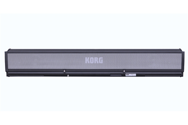 Korg PAAS 2