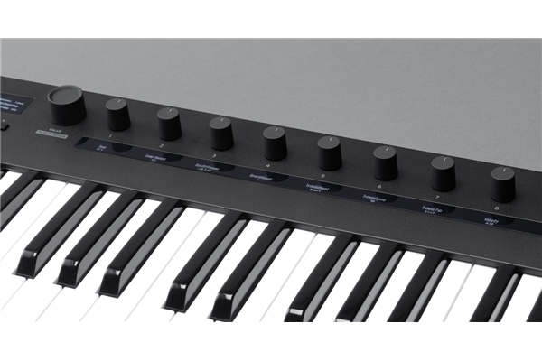 Korg - KEYSTAGE-49