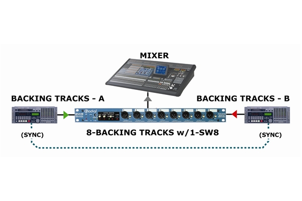 Radial Engineering - SW8