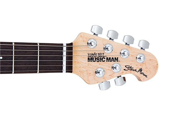 Music Man - Steve Morse Morse Blue Burst