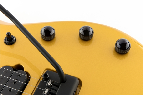 Music Man - John Petrucci 7 Piezo Firemist Gold Tastiera Palissandro