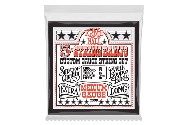 Ernie Ball 2309 Banjo Medium 5-String Loop End Stainless Steel