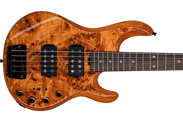 Sterling by Music Man - StingRay5 HH RAY35HH Poplar Burl Ambe