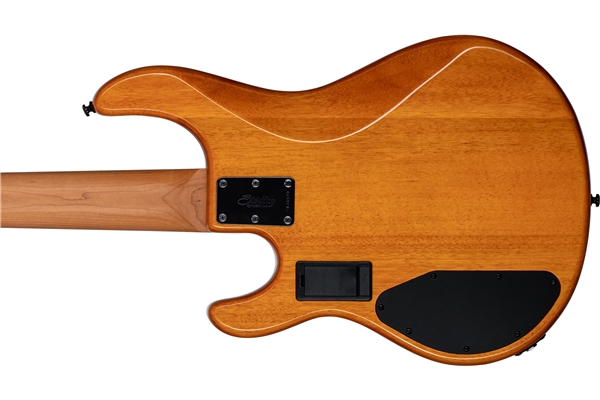 Sterling by Music Man - StingRay5 HH RAY35HH Poplar Burl Ambe
